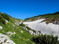 007 wir kommen zum Schnee